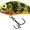 Gold Fluoro Perch - Floating