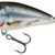 Salmo Butcher 5cm Holographic Real Dace - Sinking