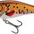 Salmo Executor 5cm Holographic Golden Back - Shallow Runner Floating