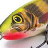 Limited Edition Salmo Sweeper 17 Colours Holo Perch - Sinking