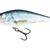 Salmo Executor 12cm Real Dace - Shallow Runner Floating