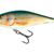 Salmo Executor 12cm Real Roach - Shallow Runner Floating