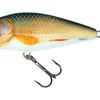 Salmo Perch 12cm Real Roach - Floating