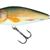 Salmo Perch 12cm Real Roach - Floating