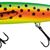 SALMO WHACKY 12cm SPOTTED PARROT