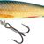 MINNOW FLOATING - 9cm REAL ROACH
