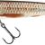 SWEEPER SINKING - 10cm REAL GREY SHINER