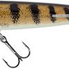 SALMO SWEEPER 17cm SINKING LIMITED EDITION COLOURS Sweeper 17cm Sinking Spotted Emerald Perch