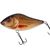Limited Edition Salmo Slider 16 Colours Gold Back - 16S