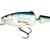 Salmo Frisky 7cm Real Dace - Shallow Runner Floating